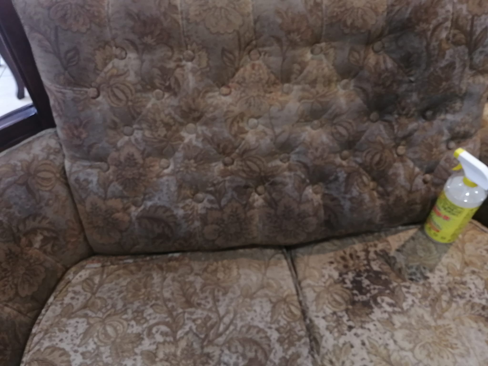 Ornate couch before cleaning